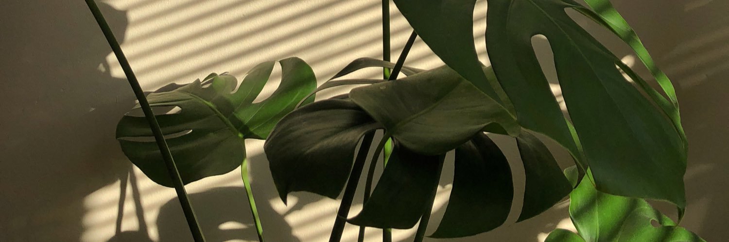 em banner