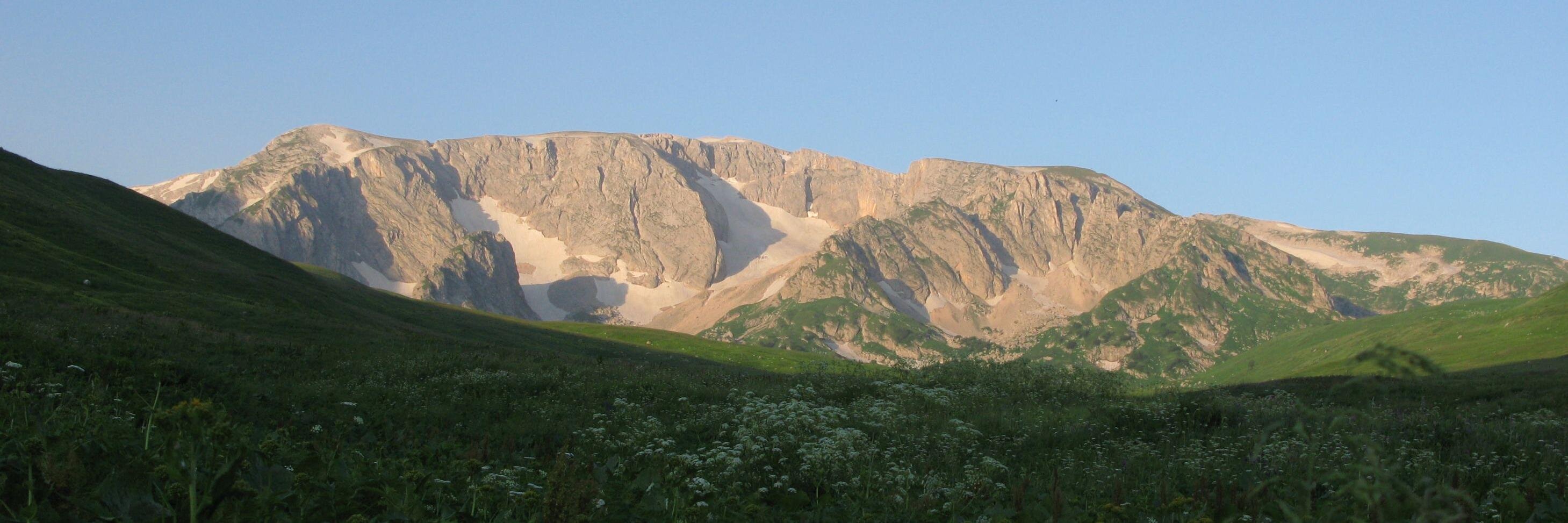 Roman Leventov banner