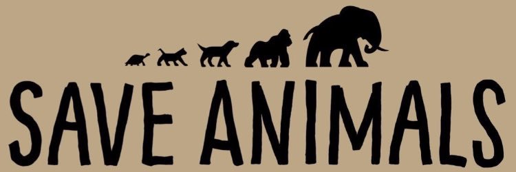 TheSherbinator's profile banner image