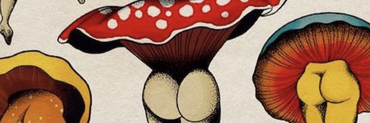SpinningCircle_'s profile banner image