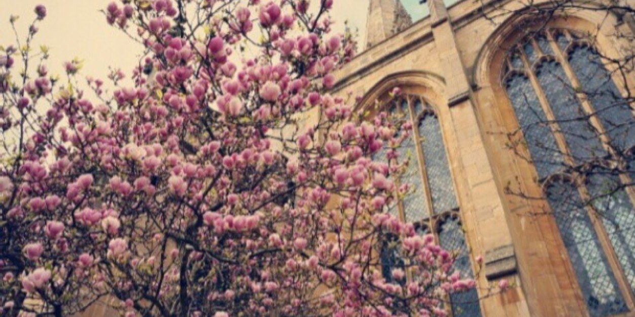 Soo_3906's profile banner image