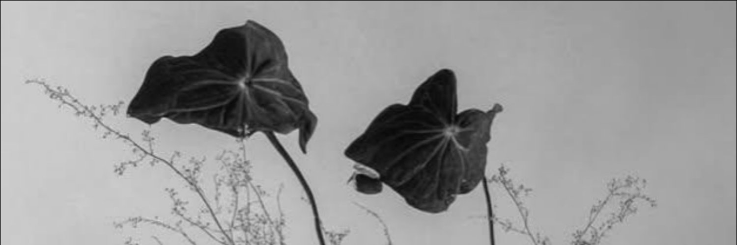 eaq_3ii's profile banner image
