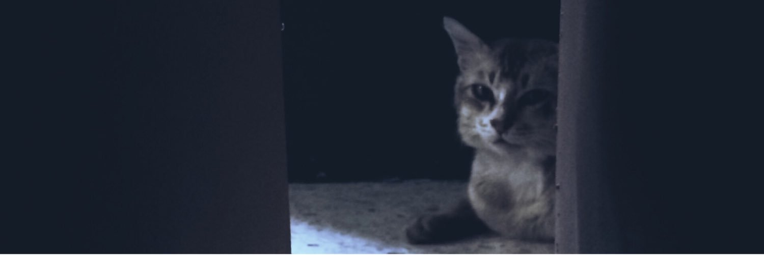 AminSyzn's profile banner image