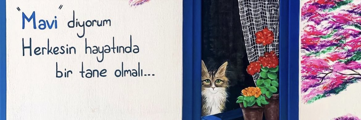 BRCNFLGL's profile banner image