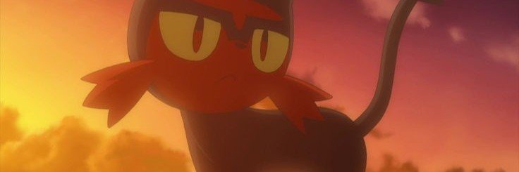 AcervoLitten's profile banner image