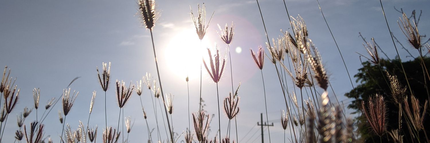 rzlc28's profile banner image