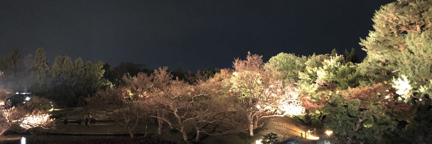 Ri____sa's profile banner image