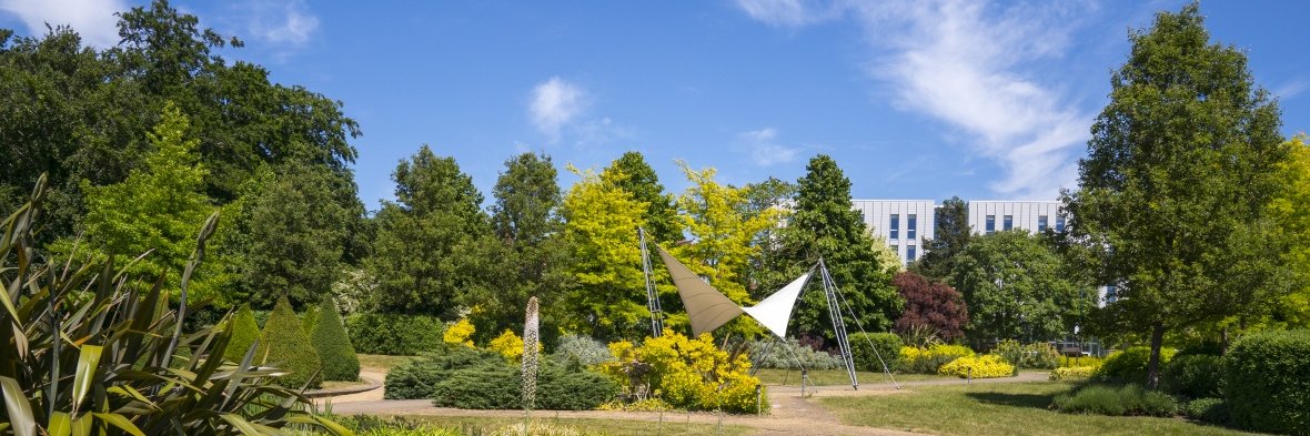 Nottingham Politics's banner
