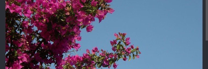 lalima_6702's profile banner image