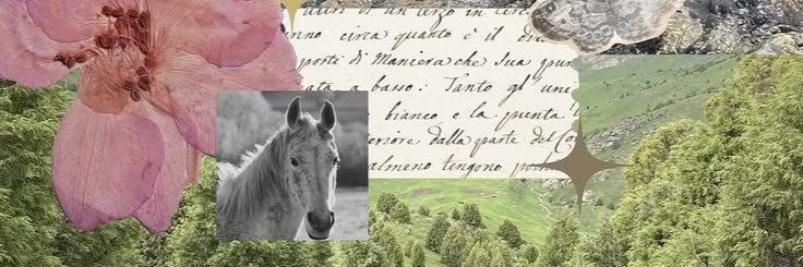 deersnin's profile banner image