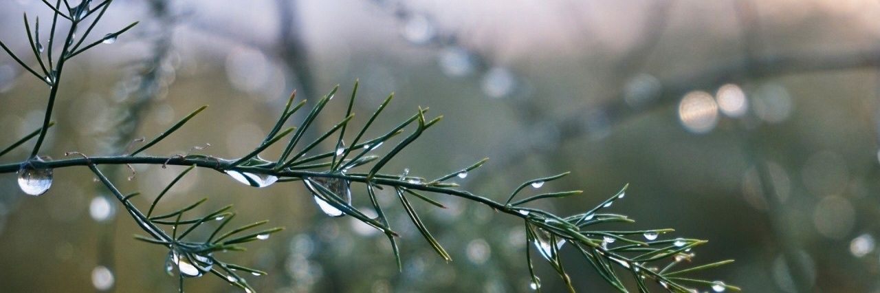 mwiriel's profile banner image