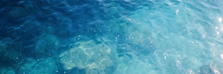 eveningsjuly's profile banner image