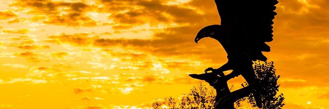 lnail's profile banner image