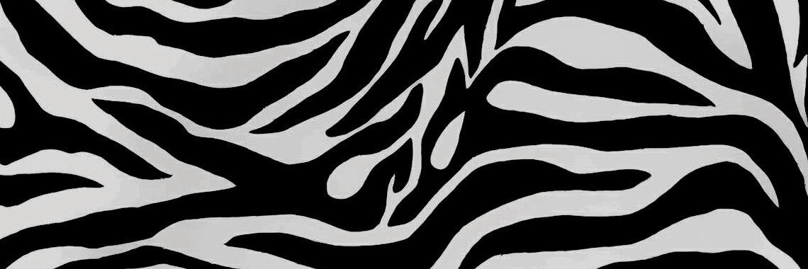 NONAMESHQX's profile banner image