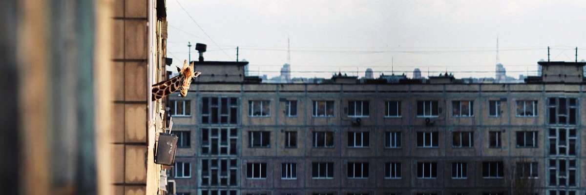 migarfer's profile banner image