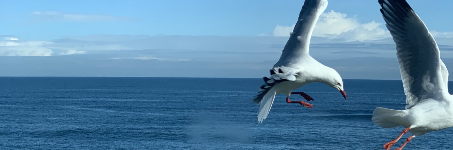 Michael Williams banner