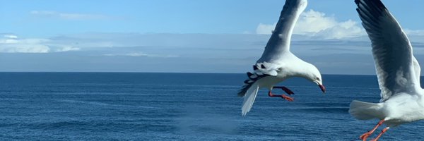 mmccwill Profile Banner