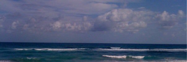 Jordan Tartakow banner