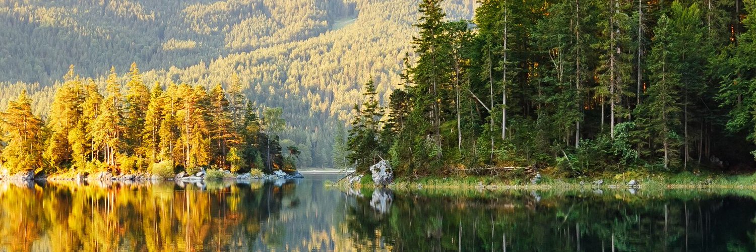 Сергей Леонов banner