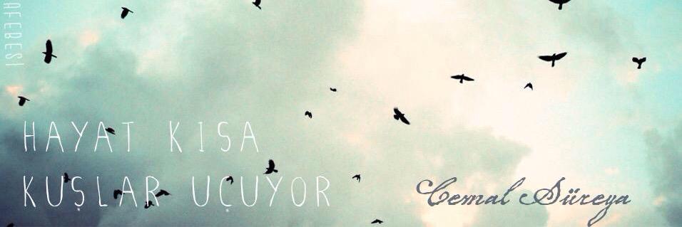 esrasolmaz's profile banner image