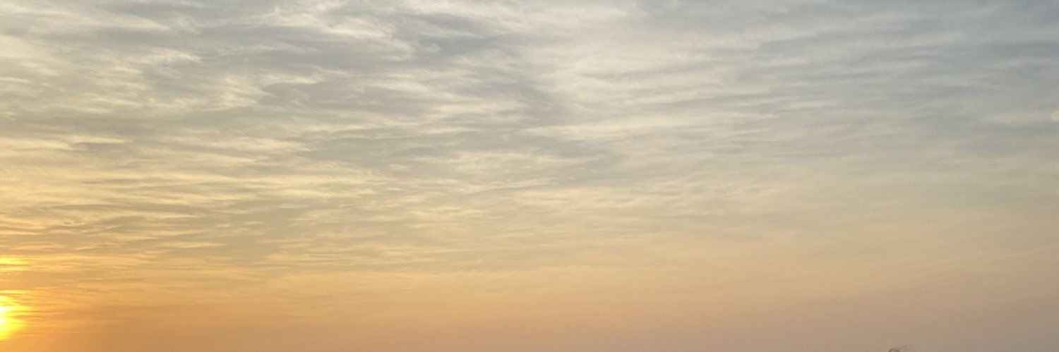 1966bemy's profile banner image