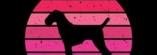 FaridaKnotm2ae's profile banner image