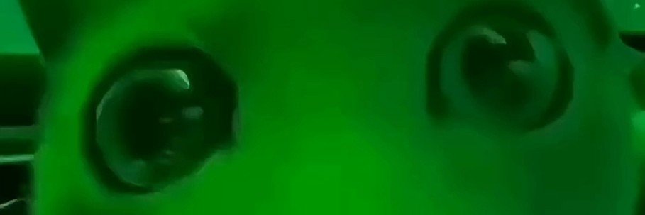 GreenCatCrypto's profile banner image