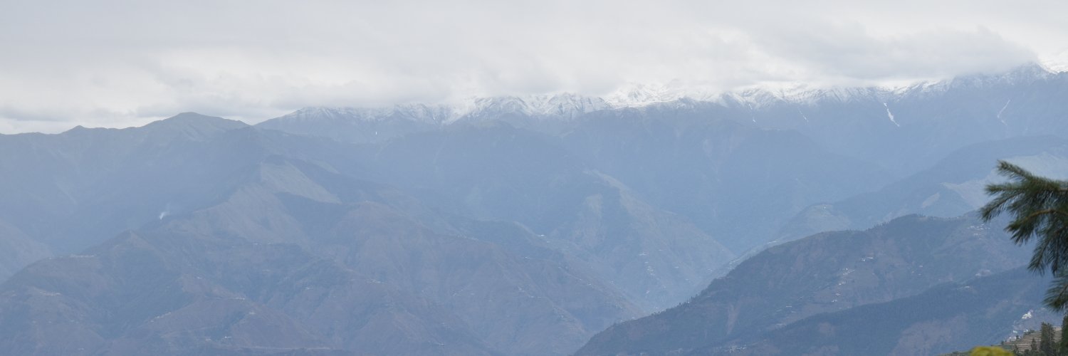 yneelam's profile banner image