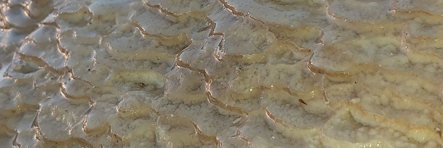 skyking_m's profile banner image