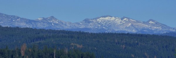 iterology Profile Banner