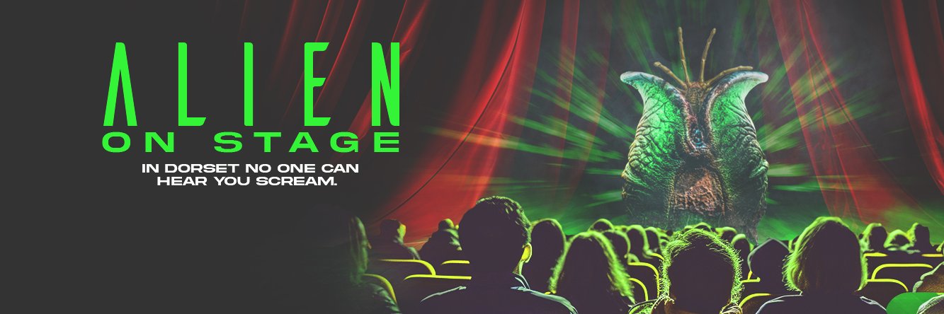 Danielle Kummer banner