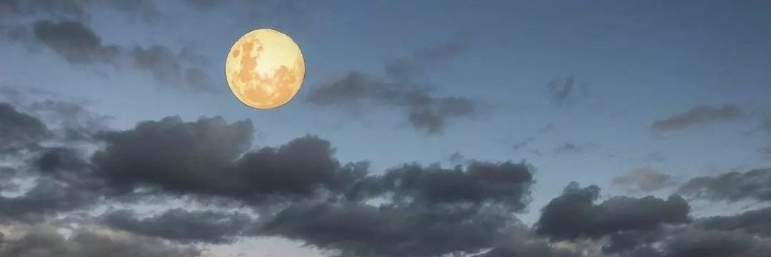 bsm_crvg's profile banner image