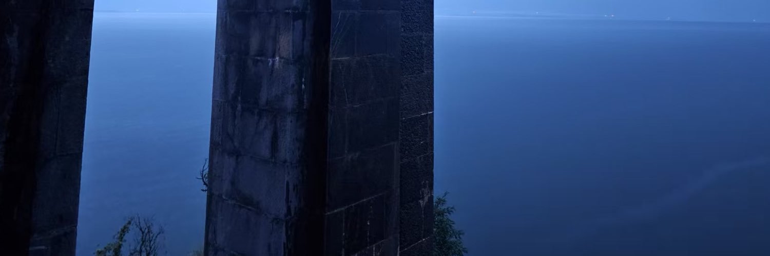 ZWJ199's profile banner image