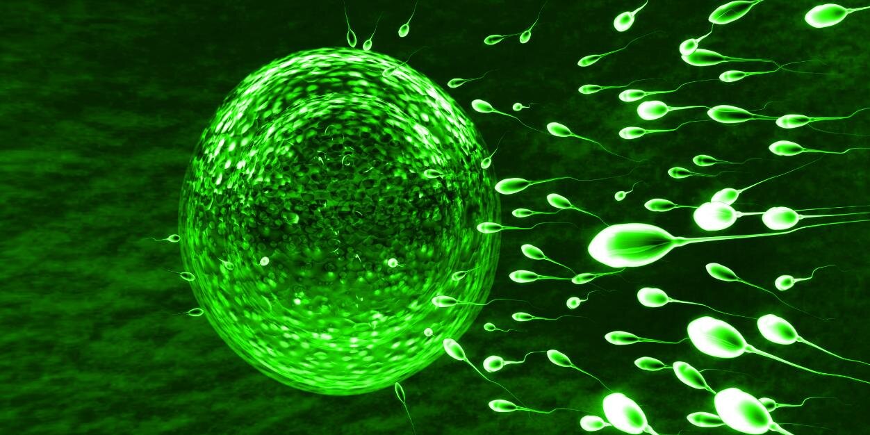 EXCEMED_Repro's profile banner image