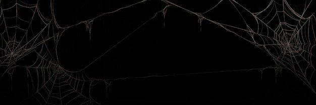 desolatedies's profile banner image