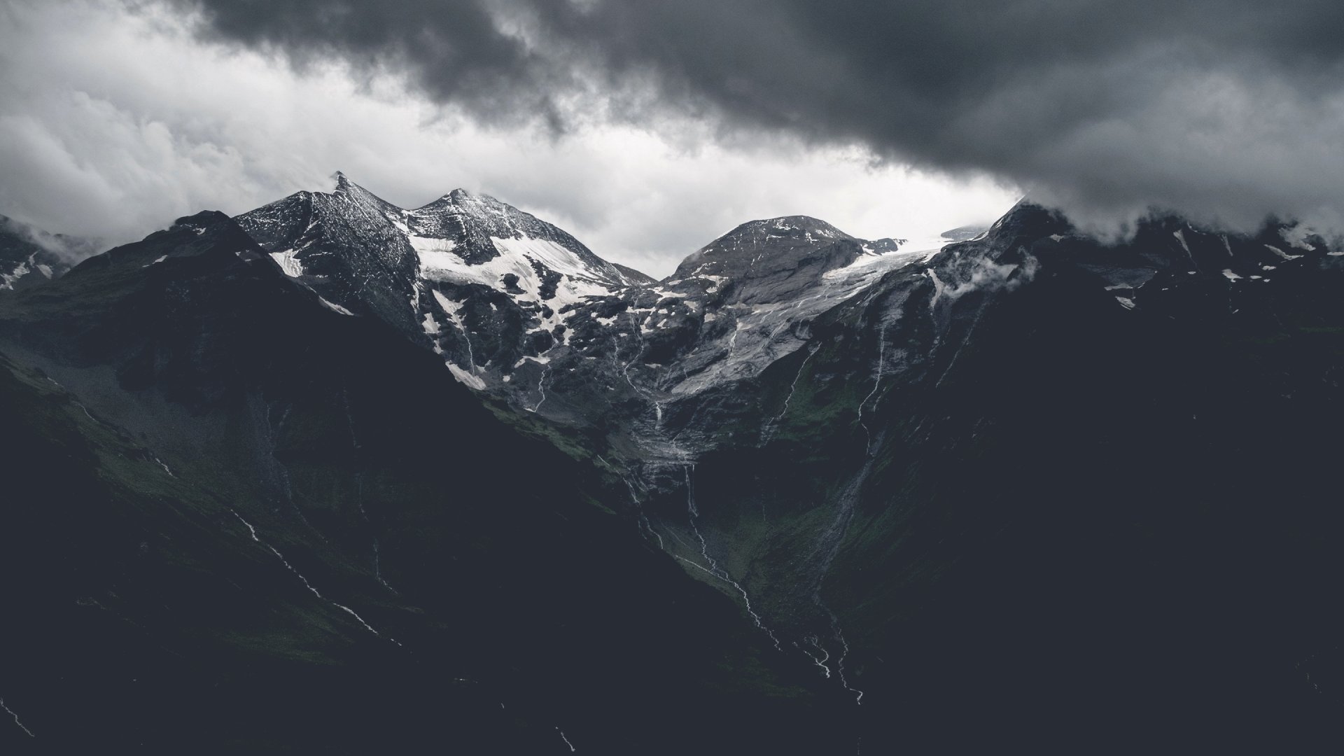 ConnorNewtdt1w's profile banner image