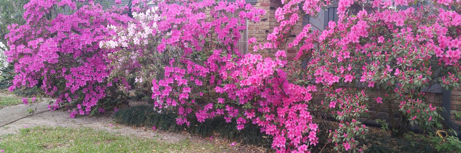 Vicky - Twins R 2 Much banner