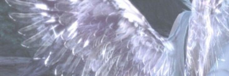 splendida_mors's profile banner image