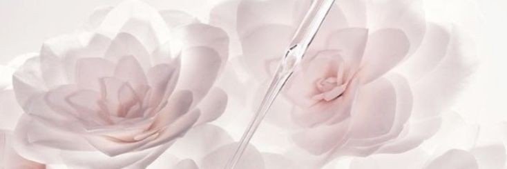 skyblueorchs's profile banner image