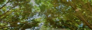 evaa_lonely's profile banner image