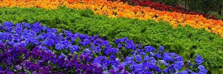 Michel Coconis she/her banner