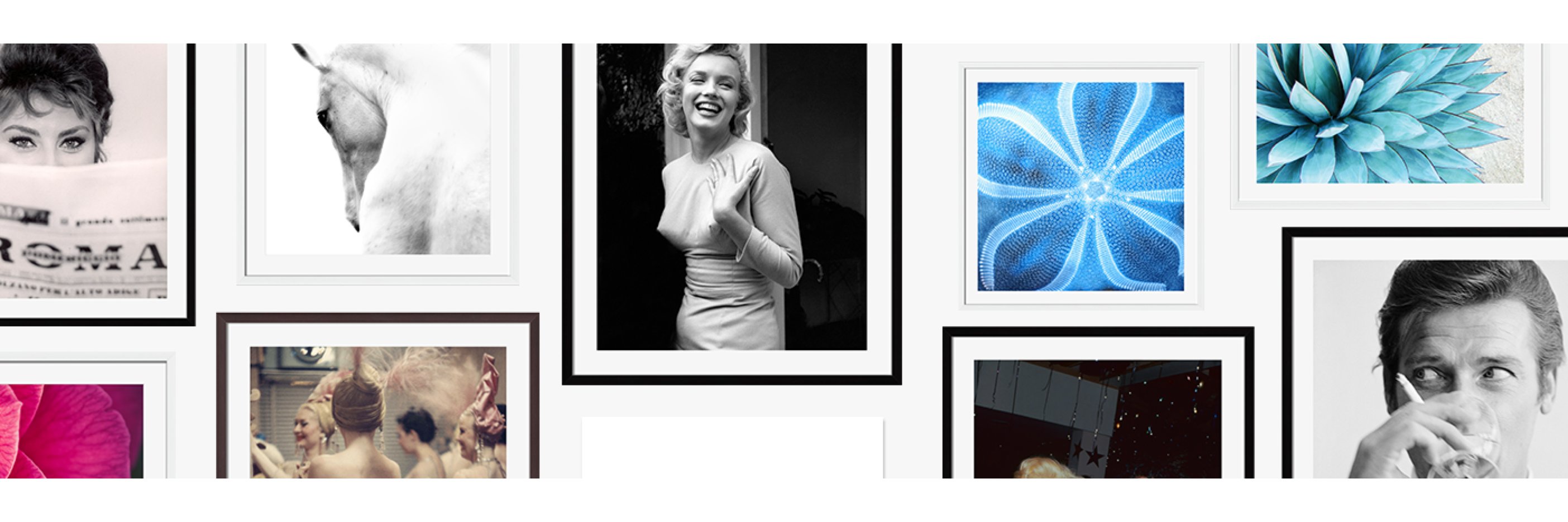 Photos by Getty Images banner