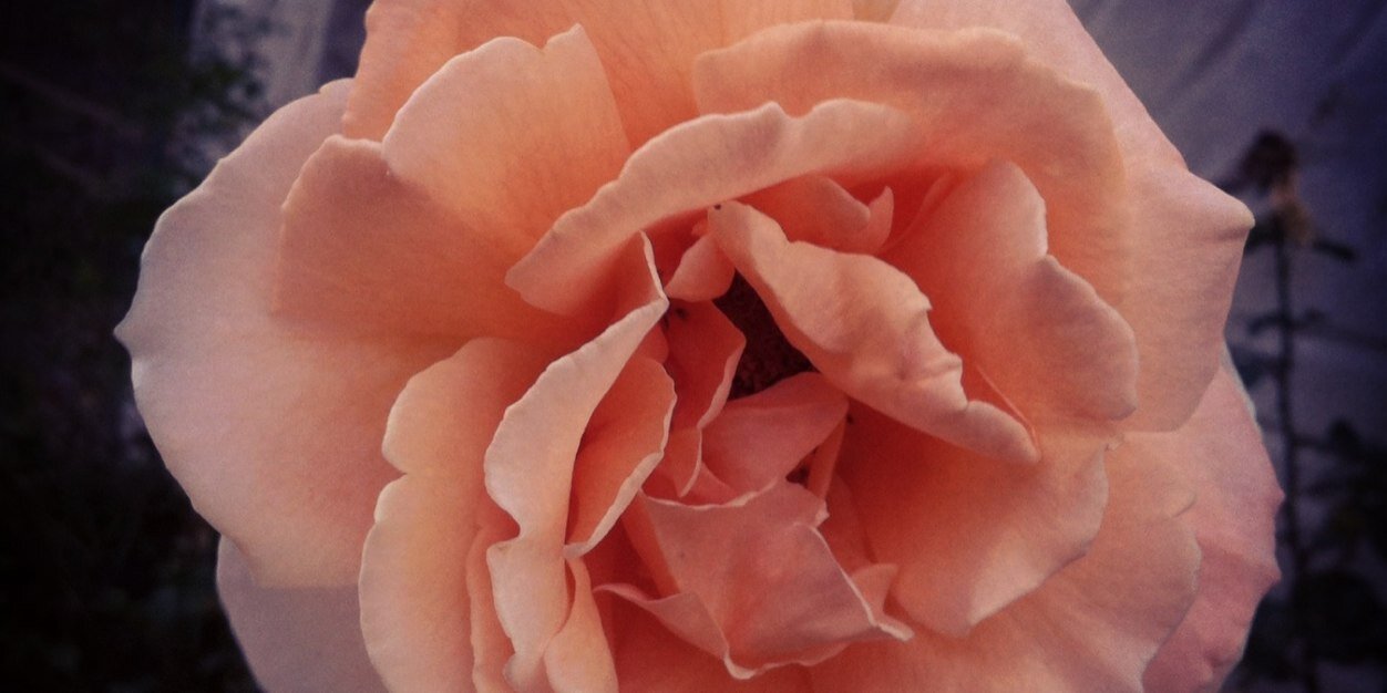 leebesnard's profile banner image