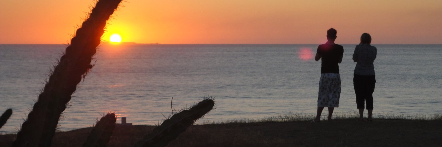 reephambird's profile banner image