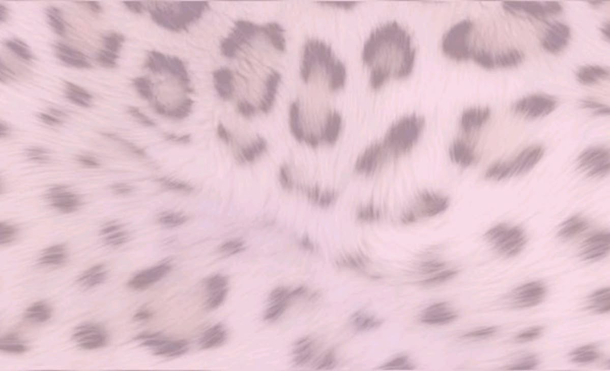 janeedia's profile banner image