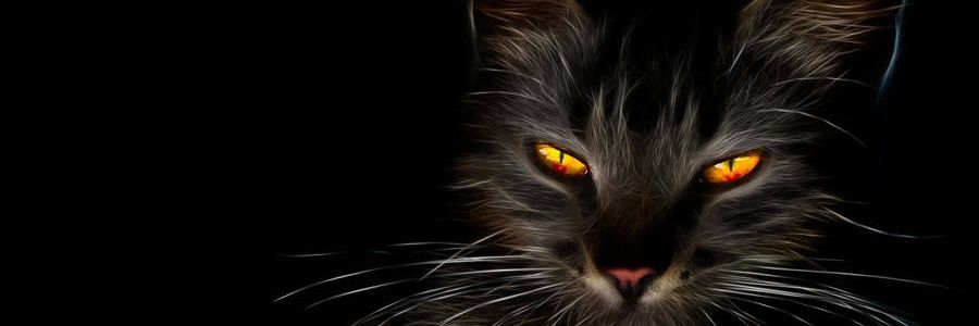 txipua's profile banner image