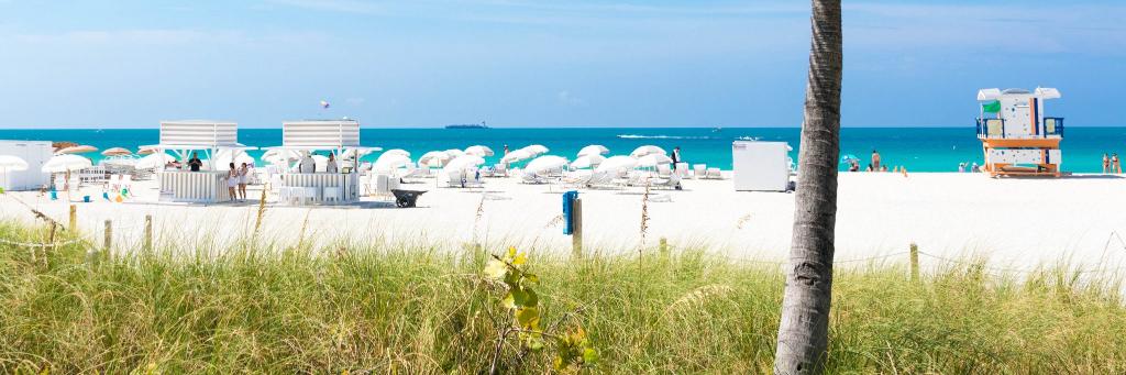 Daniel Micovic banner