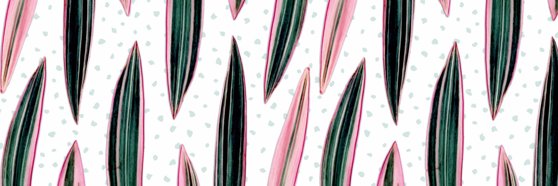AstenRigel's profile banner image