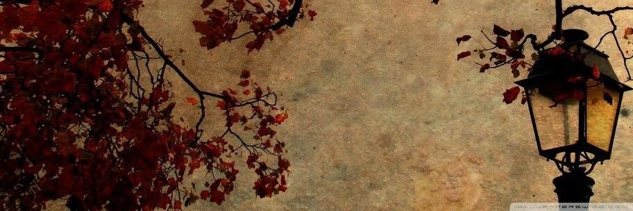 user5436633's profile banner image