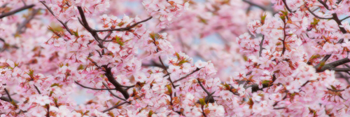 KassiMour's profile banner image